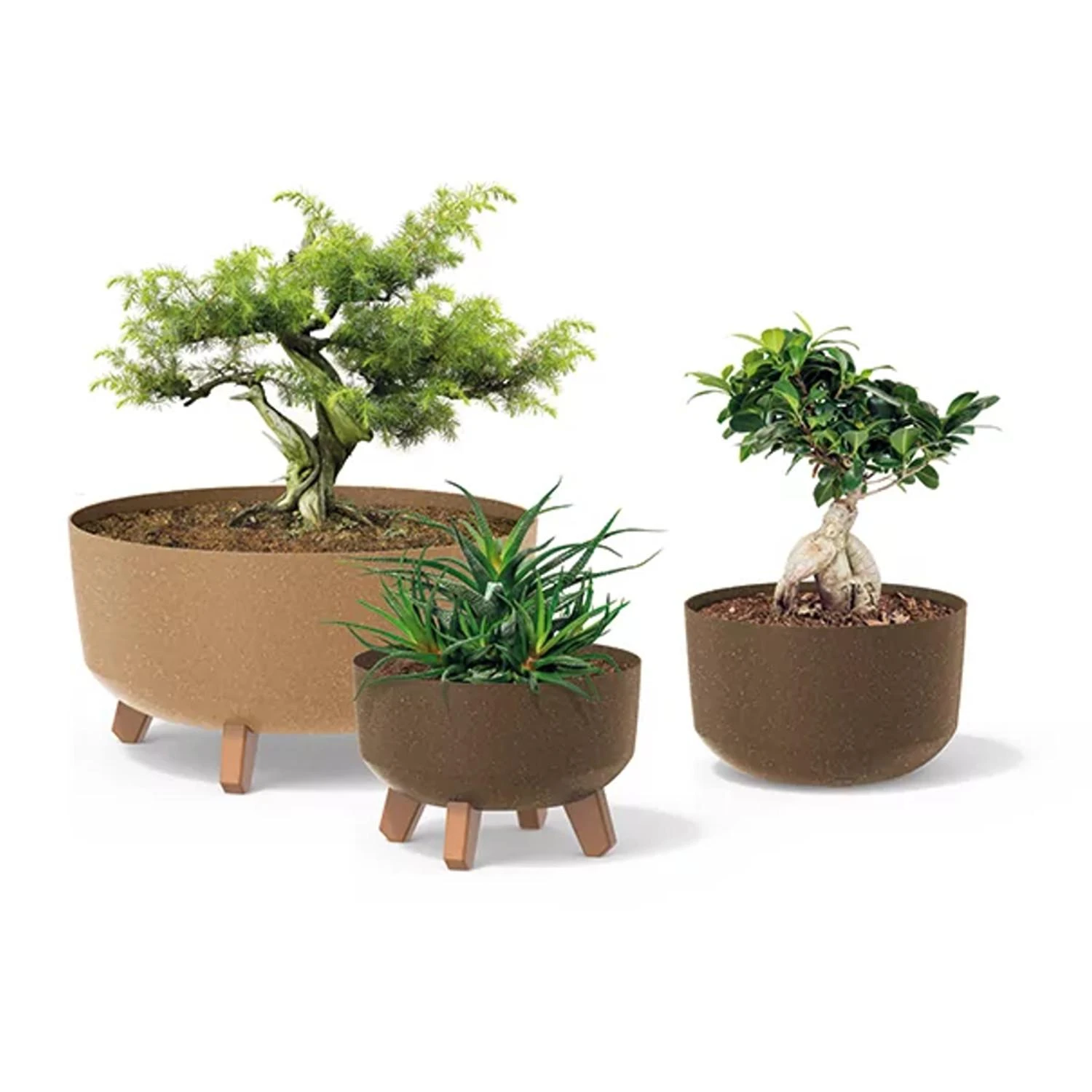 Prosperplast Doniczka „Gracia Standard Eco Wood DGRL240W“ antracito spalvos ekologiškas gėlių vazonas