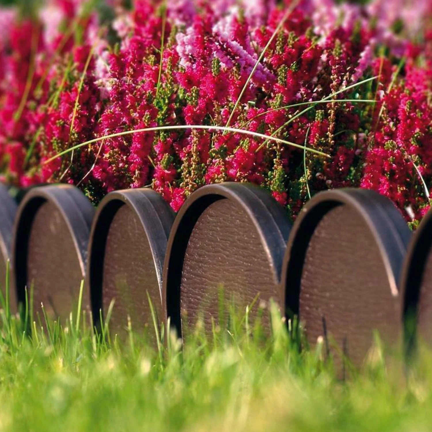 PROSPERPLAST SODO KRAŠTAS 10m GARDEN LINE RUDAS