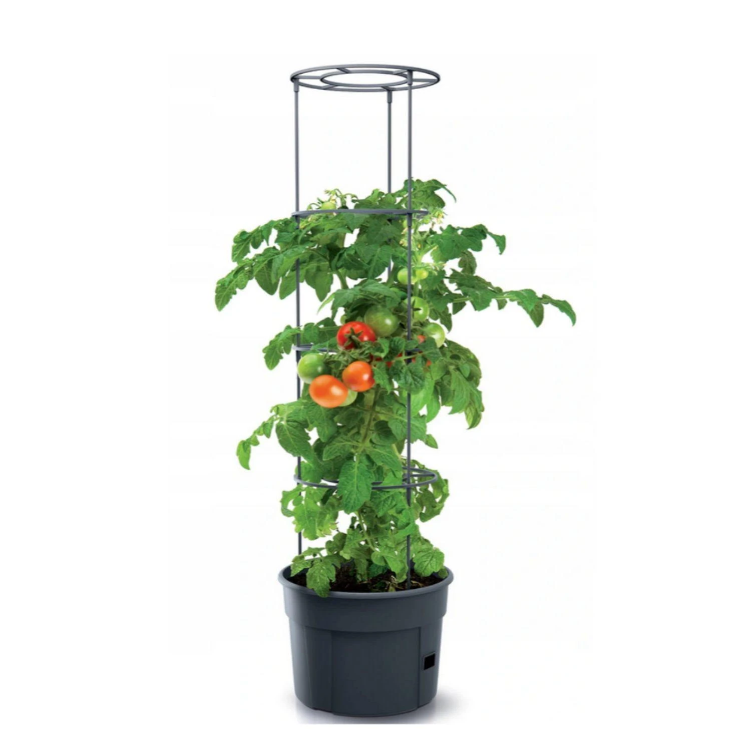 Prosperplast Vazonas Pomidorams Ipom300 24 cm