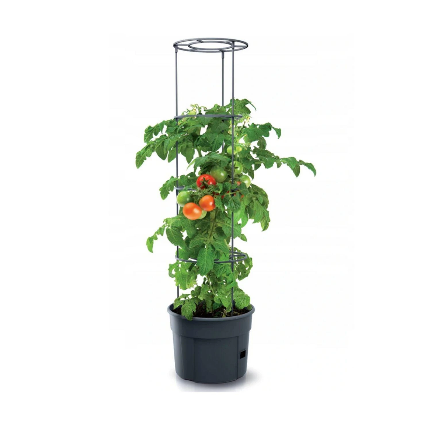 Prosperplast Vazonas Ipom400 31x39 cm