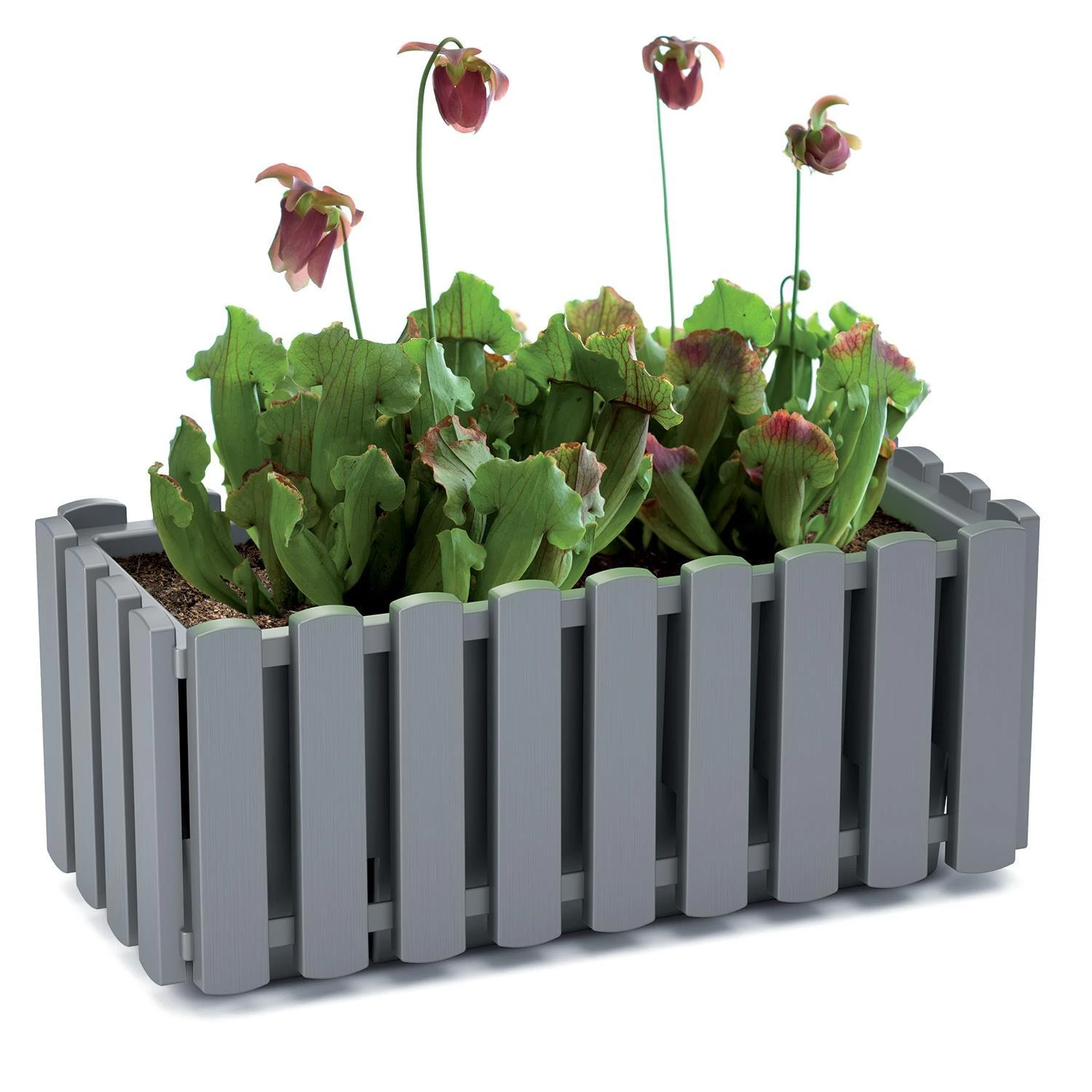 Gėlių vazonas Prosperplast Boardee Fencycase DDEF400-S449, baltas