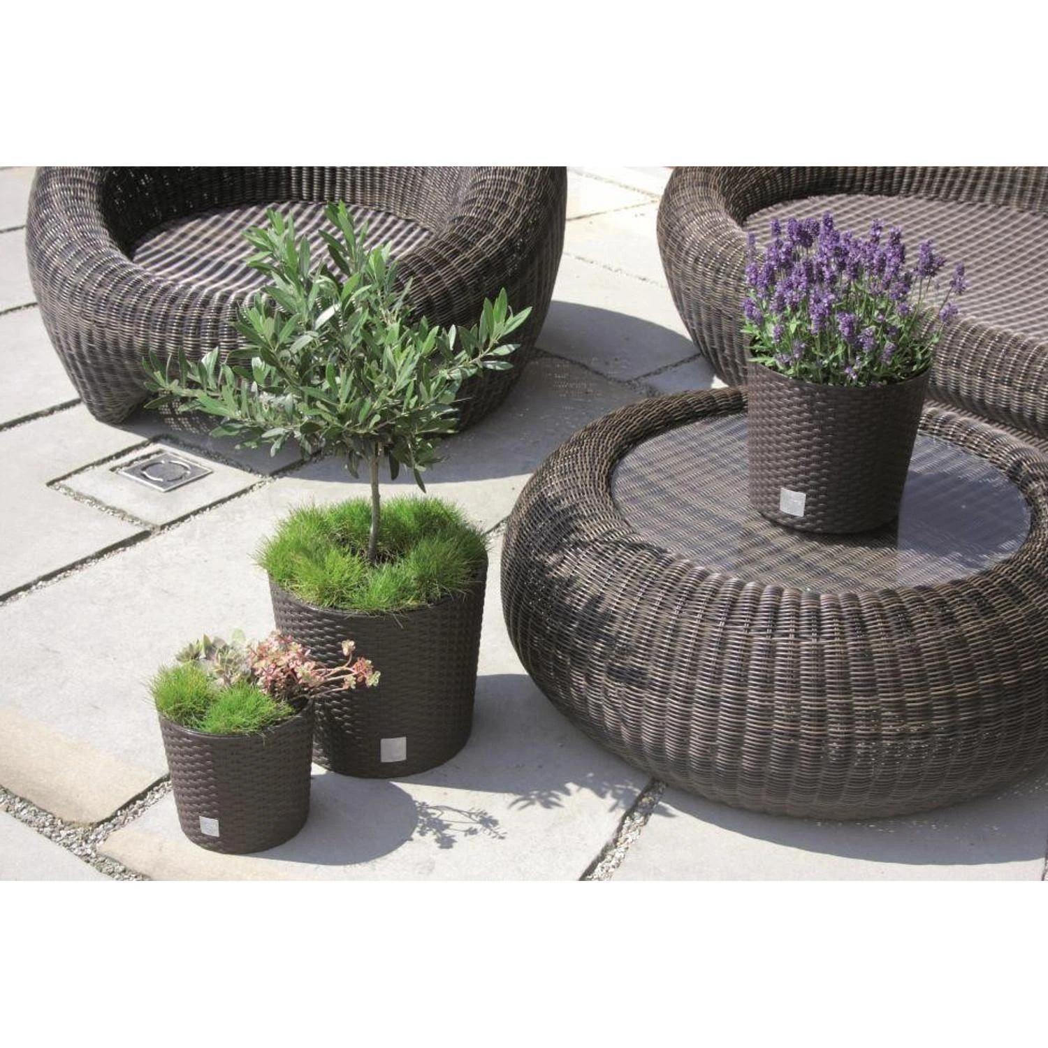 Prosperplast Vazonas su įdėklu Rato Round DRTUS300L baltas