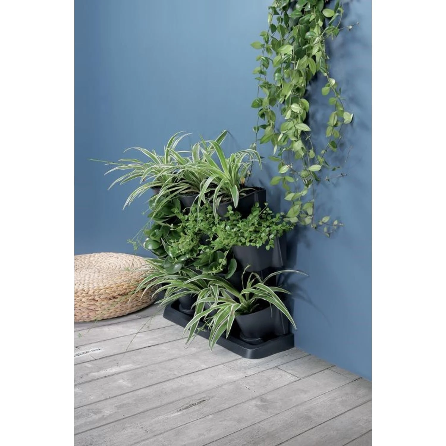 Vertikalūs sodo vazonai Prosperplast Cascade Garden IO2W600S-S433 55cm