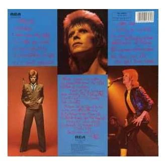 Vinilinė plokštelė David Bowie ‎– Pinups