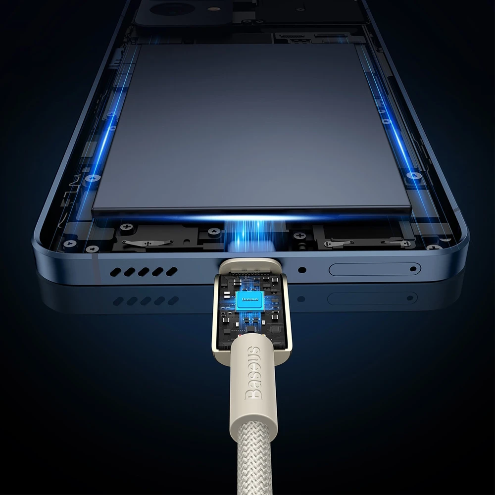 Laidas iš USB-C į USB-C Baseus Tungsten Gold, 100 W, 2 m (auksinis)