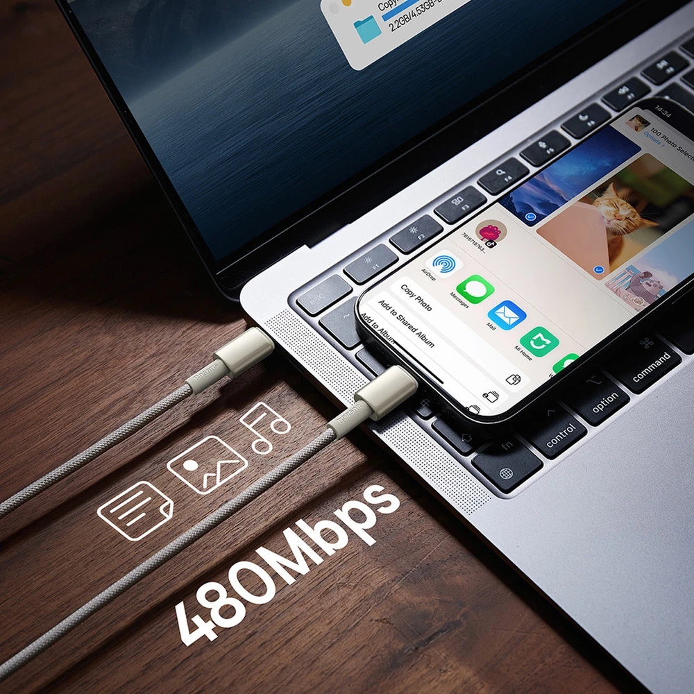 Laidas iš USB-C į USB-C Baseus Tungsten Gold, 100 W, 2 m (auksinis)