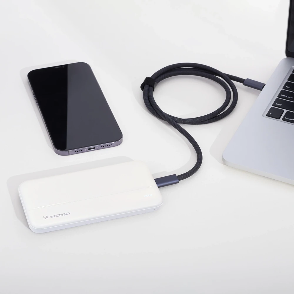 Wozinsky powerbank Li-Po 10000mAh 2 x USB baltos spalvos (WPBWE1)