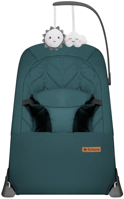Little Dutch Kūdikių supamasis krėslas ir sūpynės Moon 10 žalios
