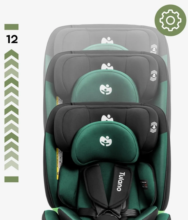 Recaro Automobilinė kėdutė sukamasis Loom 35 Juodas Žalias
