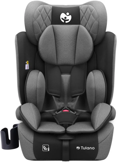 Car Seat Zooma 25 Pilkas-Juodas
