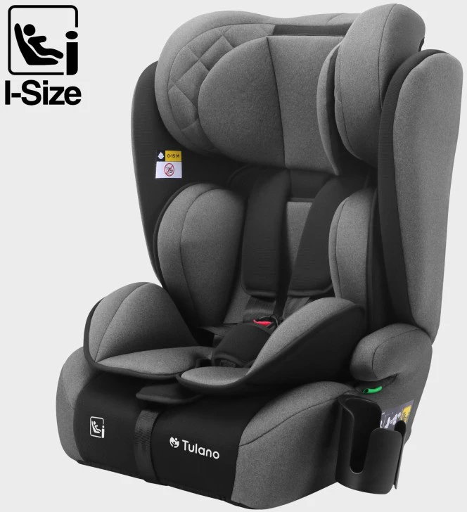 Car Seat Zooma 25 Pilkas-Juodas