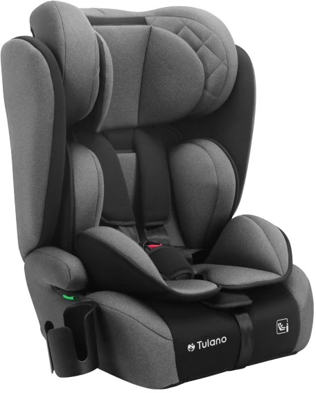 Car Seat Zooma 25 Pilkas-Juodas