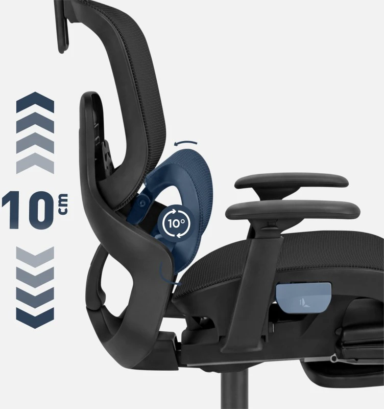 Ergonominė kėdė Expert 9.3: reguliuojama nugaros atrama
