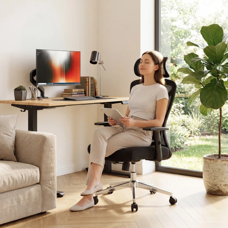 Mark Adler Office Ergonomiška biuro kėdė Manager 2.6 juoda