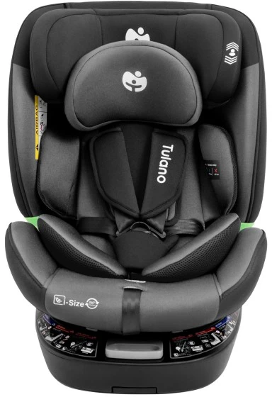 Cybex Loom 35 Juodas Pilkas car seat