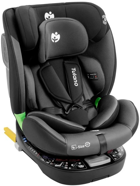 Cybex Loom 35 Juodas Pilkas car seat