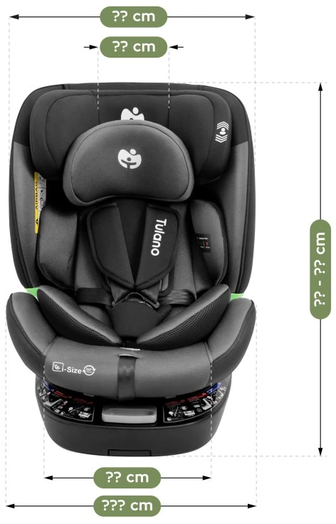 Cybex Loom 35 Juodas Pilkas car seat
