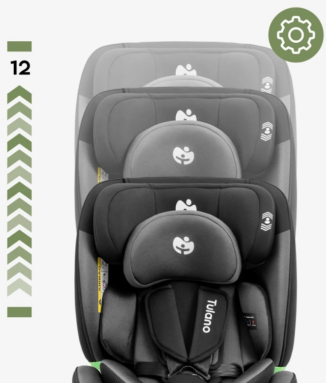 Cybex Loom 35 Juodas Pilkas car seat
