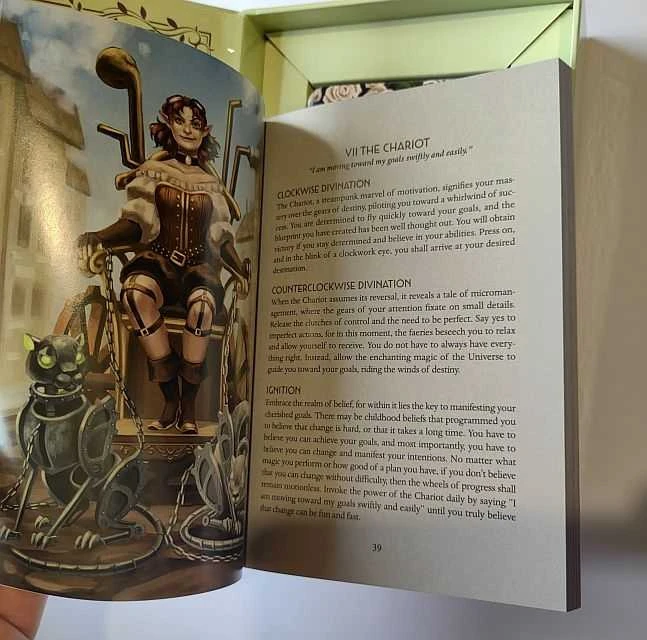 Originalios taro kortos STEAMPUNK FAERIE TAROT + knygutė