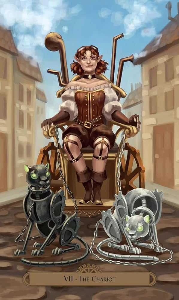 Originalios taro kortos STEAMPUNK FAERIE TAROT + knygutė