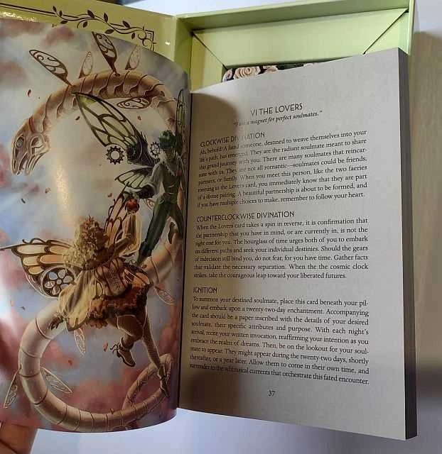 Originalios taro kortos STEAMPUNK FAERIE TAROT + knygutė