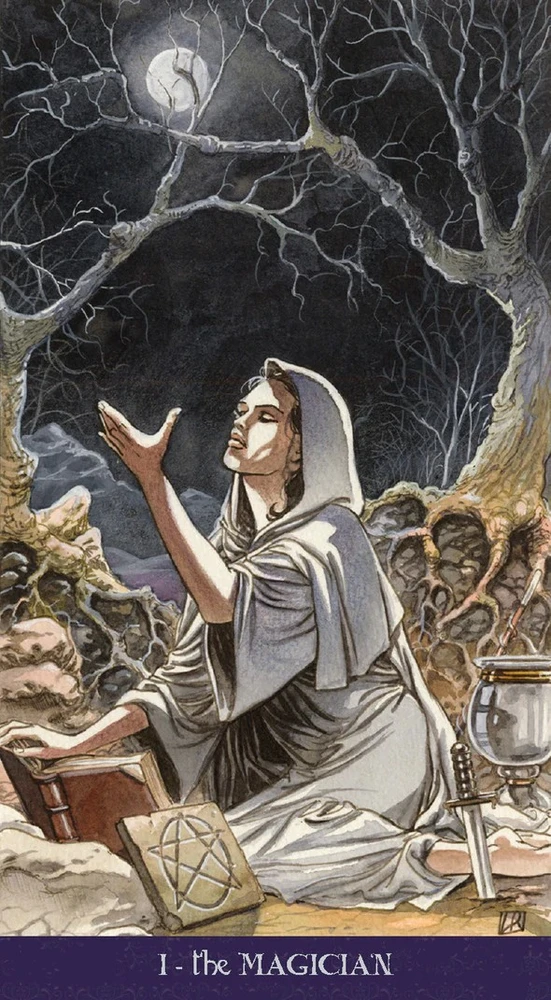 Taro kortos PAGAN TAROT