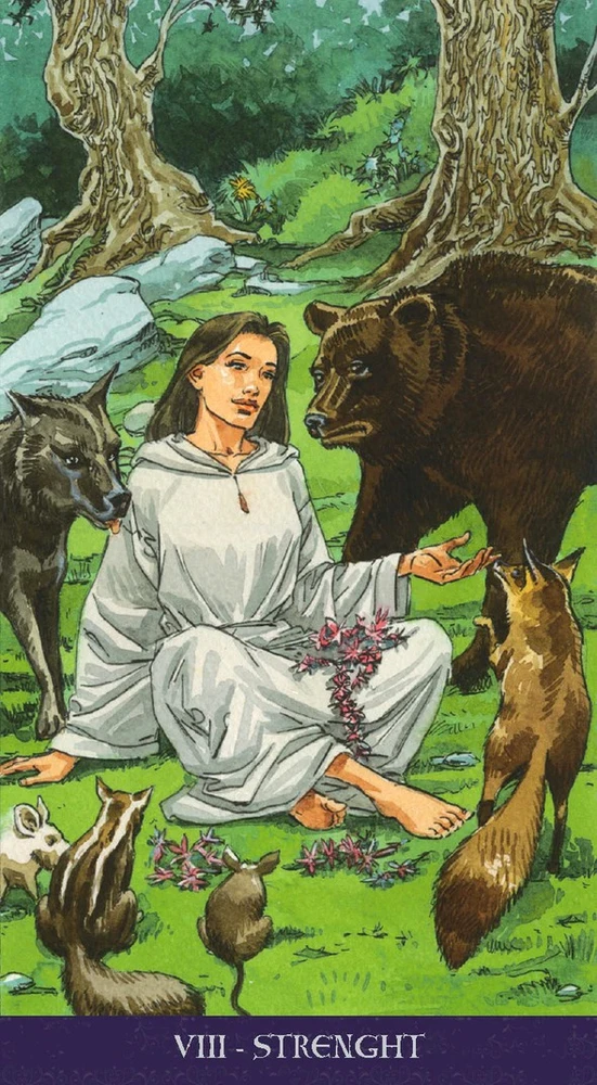 Taro kortos PAGAN TAROT