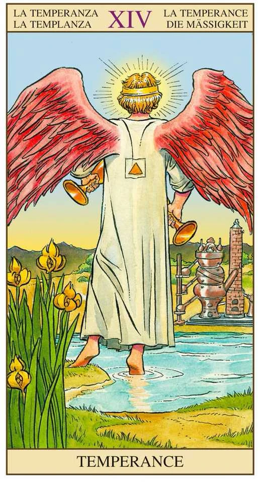Originalios taro kortos TAROT OF THE NEW VISION, LO SCARABEO®
