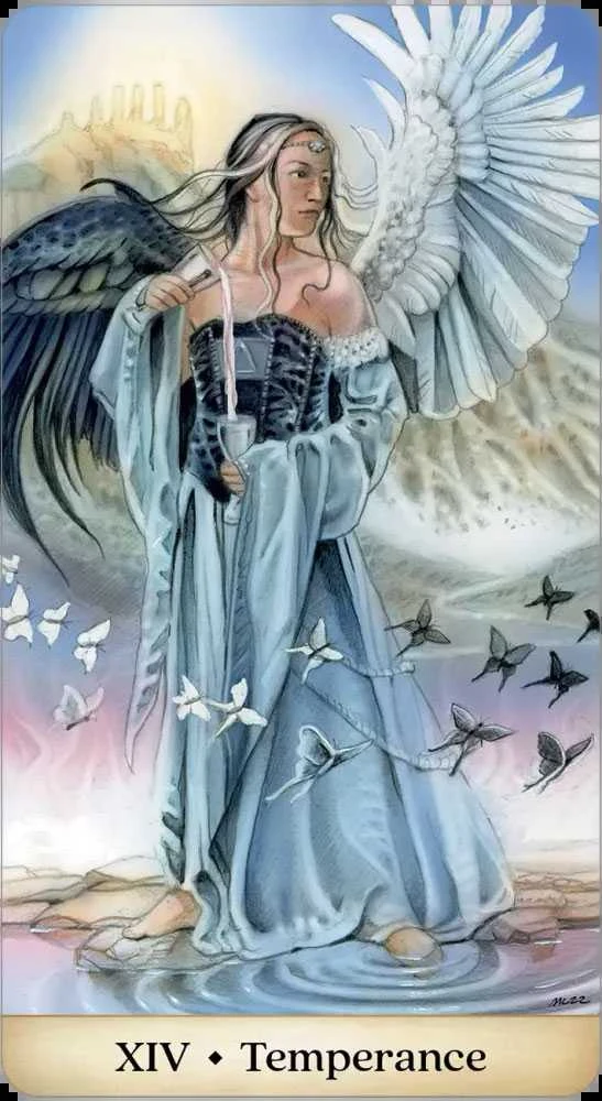Originalios taro kortos CALANDRA TAROT, U.S.Games Systems®