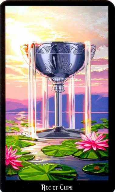 Taro kortos WITCHES TAROT, LLEWELLYN®