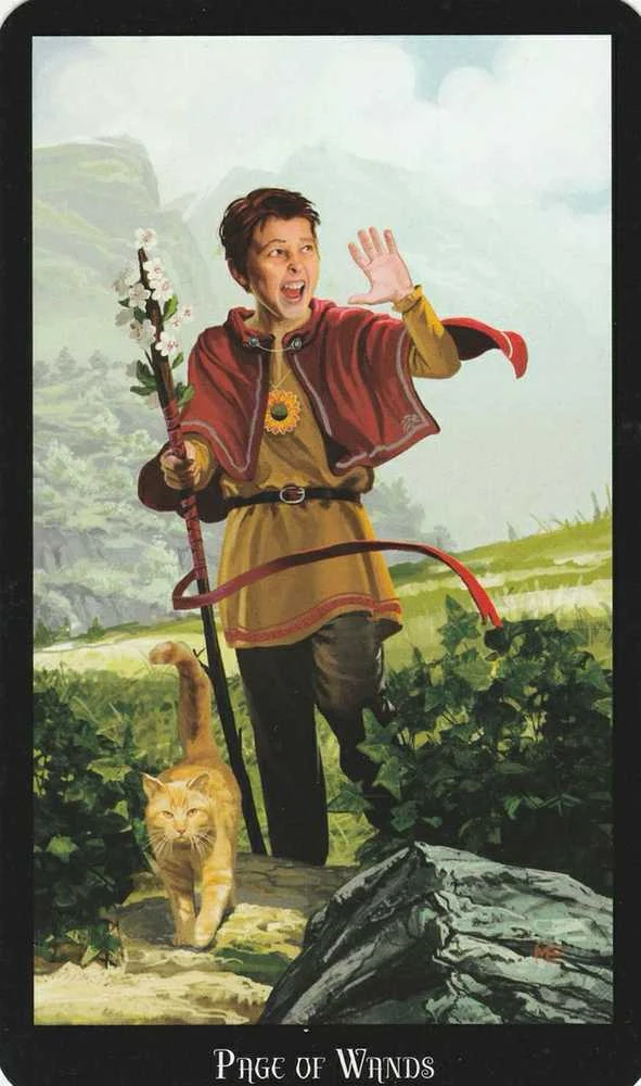 Taro kortos WITCHES TAROT, LLEWELLYN®