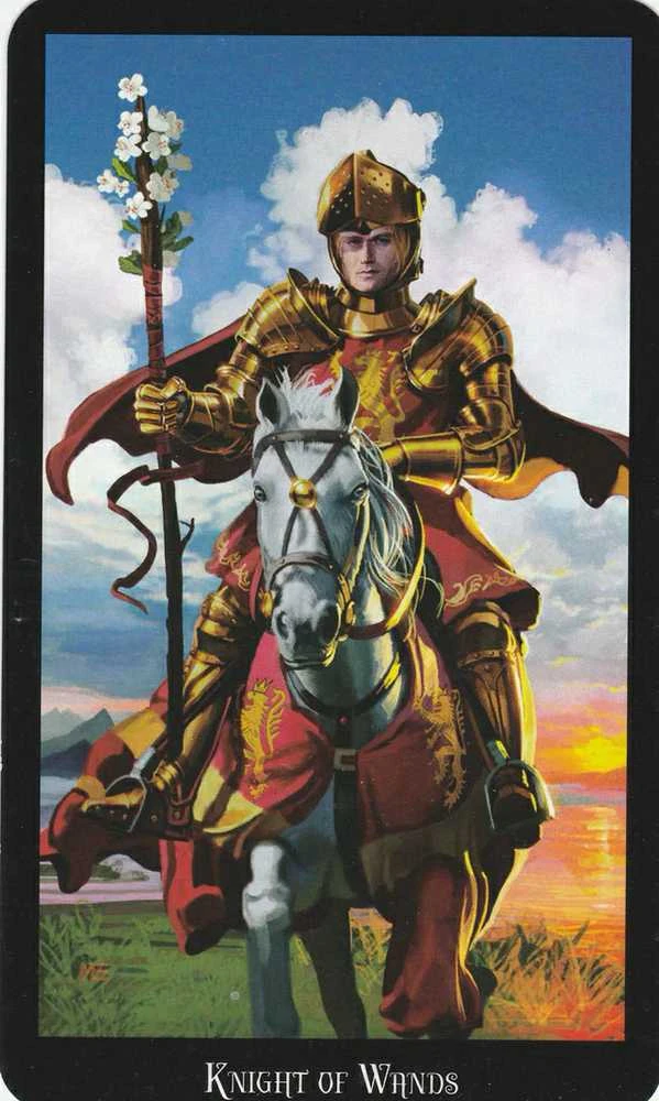 Taro kortos WITCHES TAROT, LLEWELLYN®