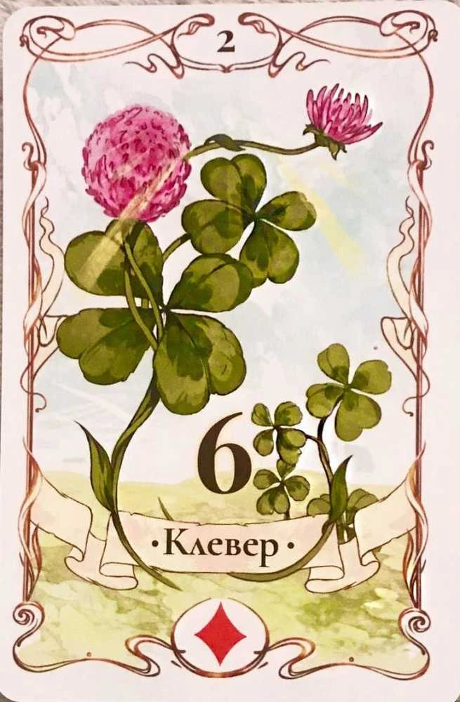 Komplektas dėžutėje - Tarot Lenormand: 36 kortos + knygutė