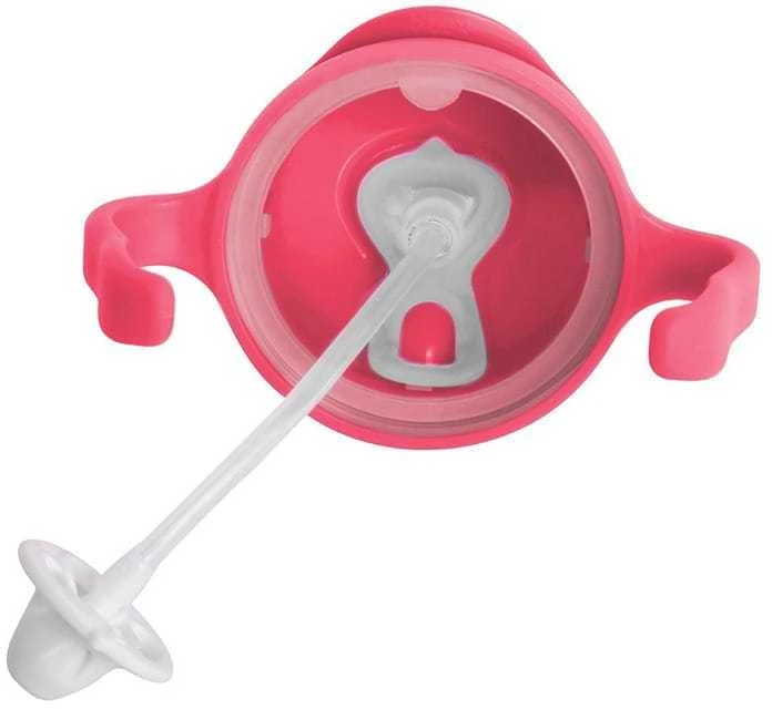 B.BOX BB00502 Vandens butelis su šiaudeliu 240 ml aviečių