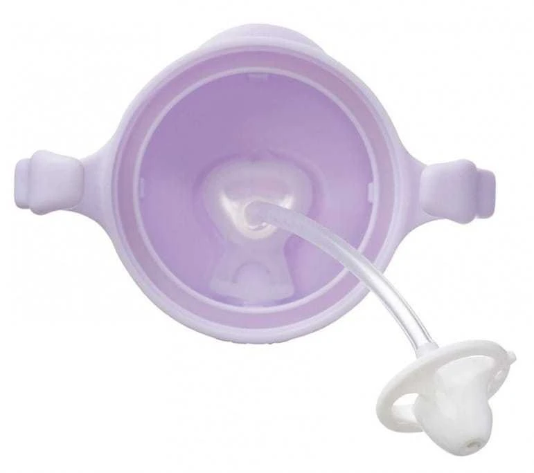 BBOX 240 ml šiaudinis buteliukas, „Gelato Boysenberry“ skonio, dėžutėje
