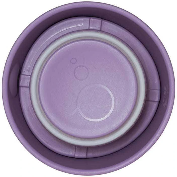 B.BOX BB400309 Mini termosas 210 ml meškiukas