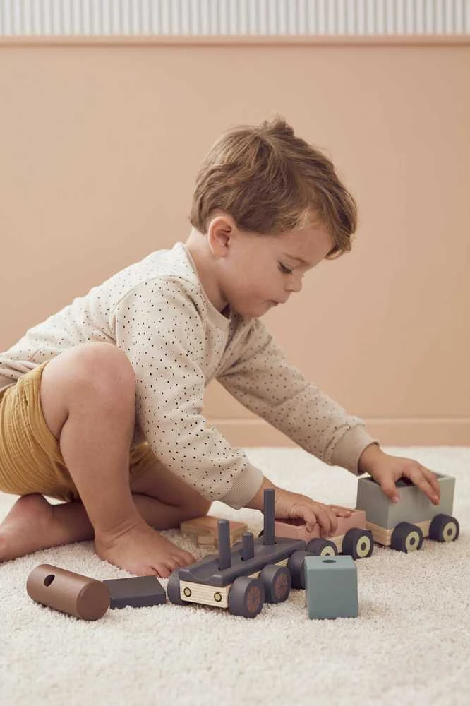 Kids Concept Vaiko koncepcija – traukinys su gyvūnais | Daugiaspalvis (EDVIN)
