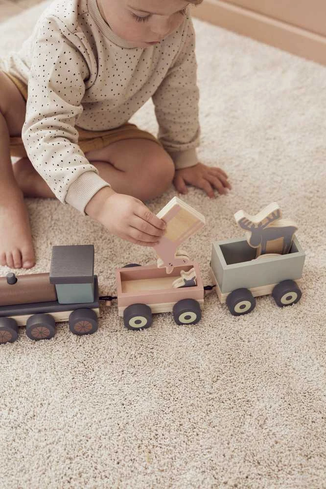 Kids Concept Vaiko koncepcija – traukinys su gyvūnais | Daugiaspalvis (EDVIN)