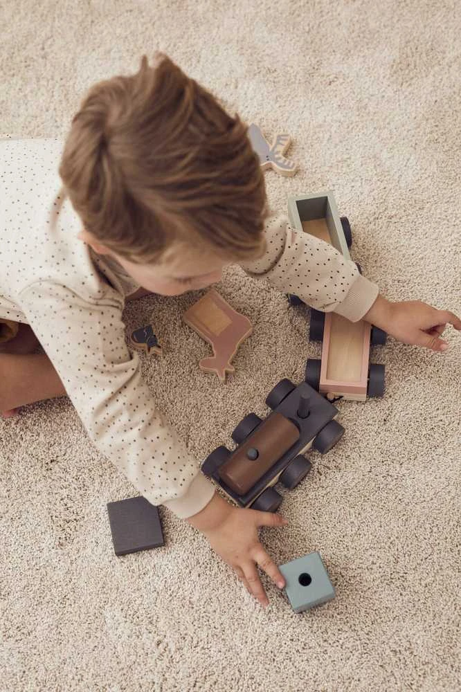 Kids Concept Vaiko koncepcija – traukinys su gyvūnais | Daugiaspalvis (EDVIN)