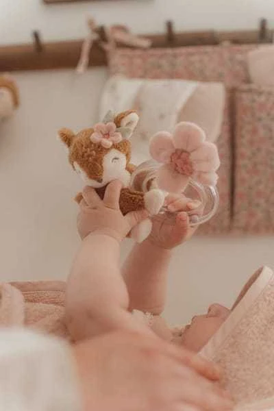 Little Dutch Žiedinis barškutis 'Fairy Garden'