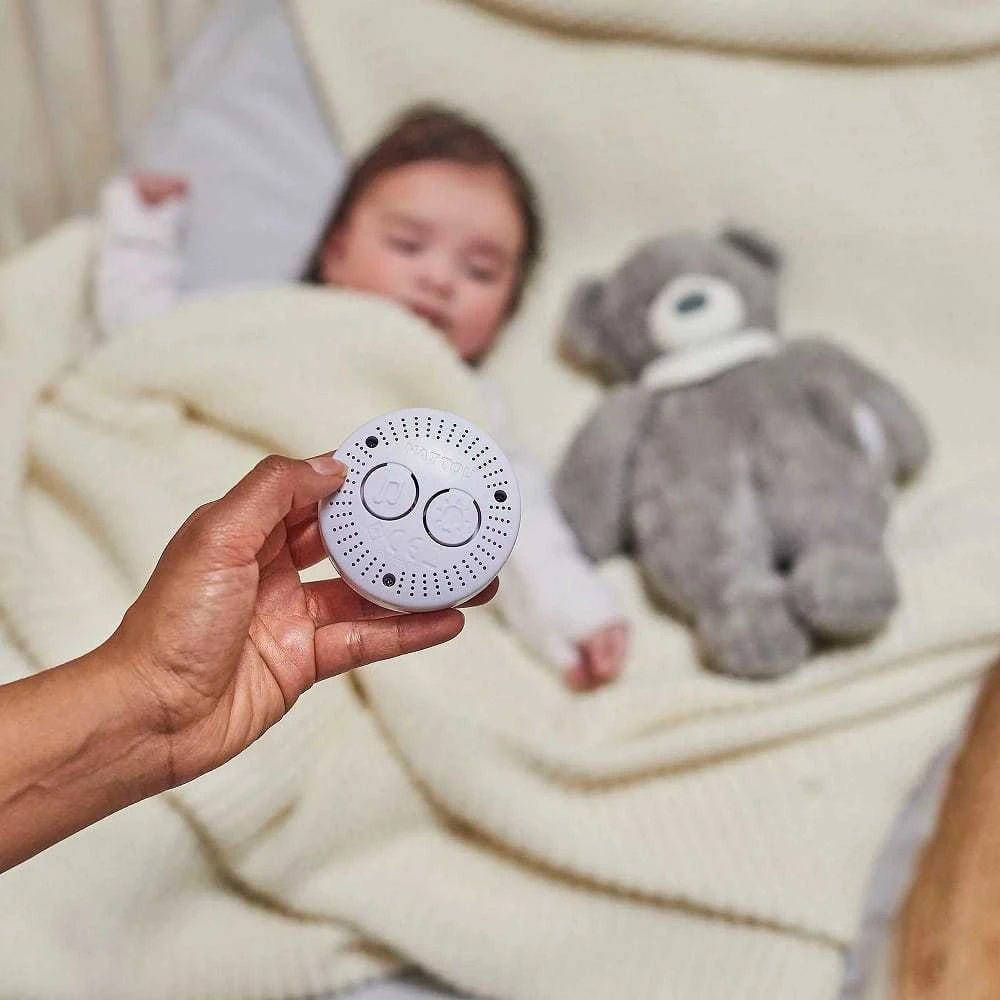 NATTOU Sleepy - dūzgiantis mielas žaislas su verksmo jutikliu 4in1 | Meškiukas Grėjus