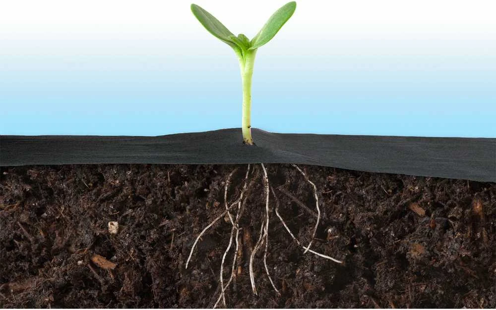 Sodo agrotekstilė 1,6 m x 100 m 90 g/m2 + 100 „Plonos“ smeigtukų - juoda