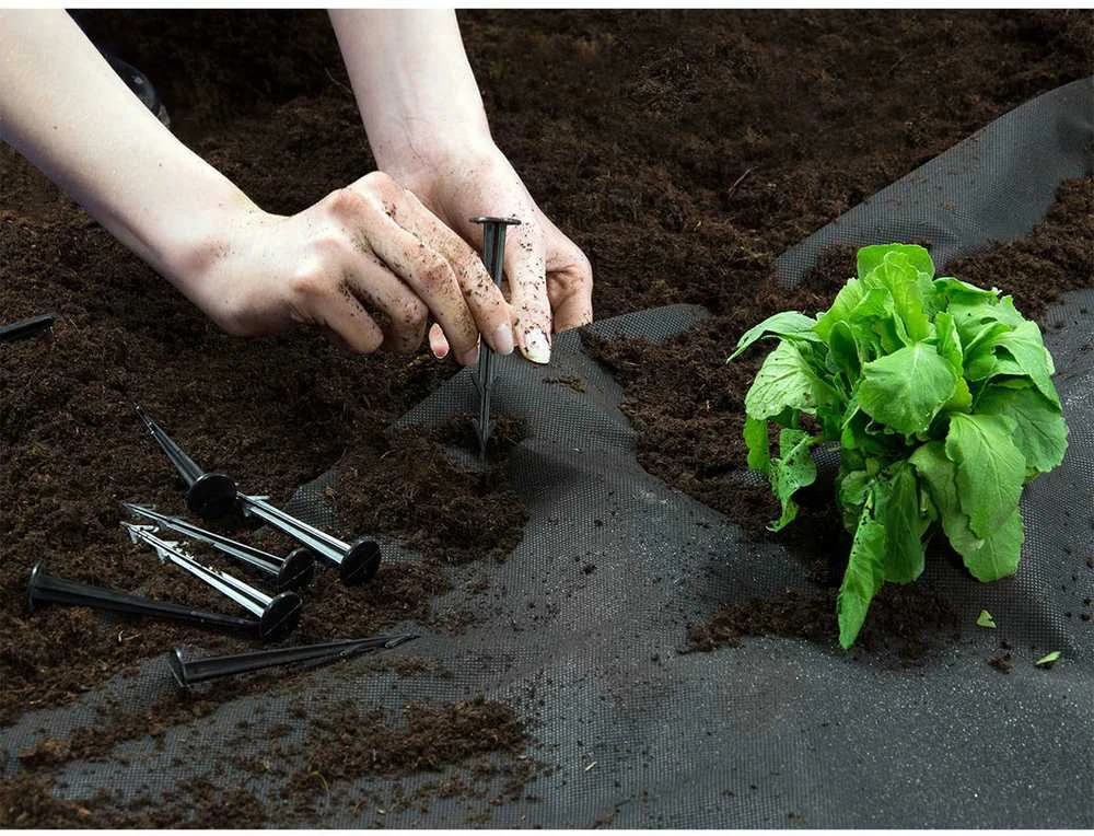 Sodo agrotekstilė 1,6 m x 100 m 90 g/m2 + 100 „Plonos“ smeigtukų - juoda