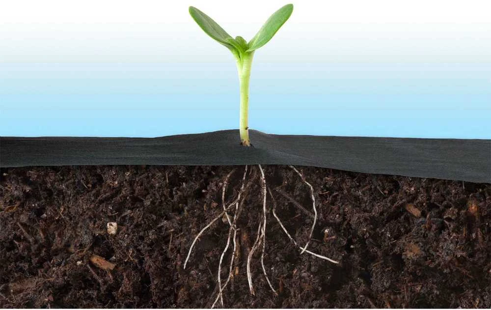 Sodo agrotekstilė 1,6 m x 50 m 70 g/m2 + 50 „Plonos“ kaiščių - juoda