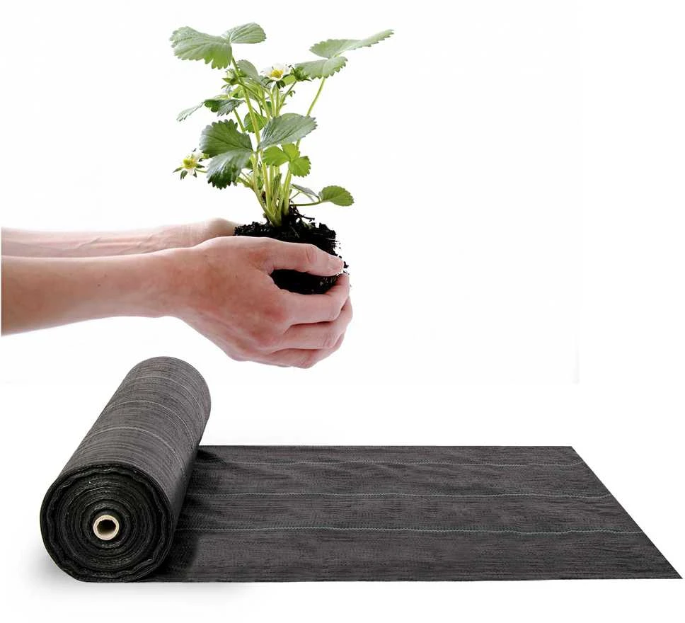 Sodo agrotekstilė 90g/m2 1,6m x 100m juoda Plonos