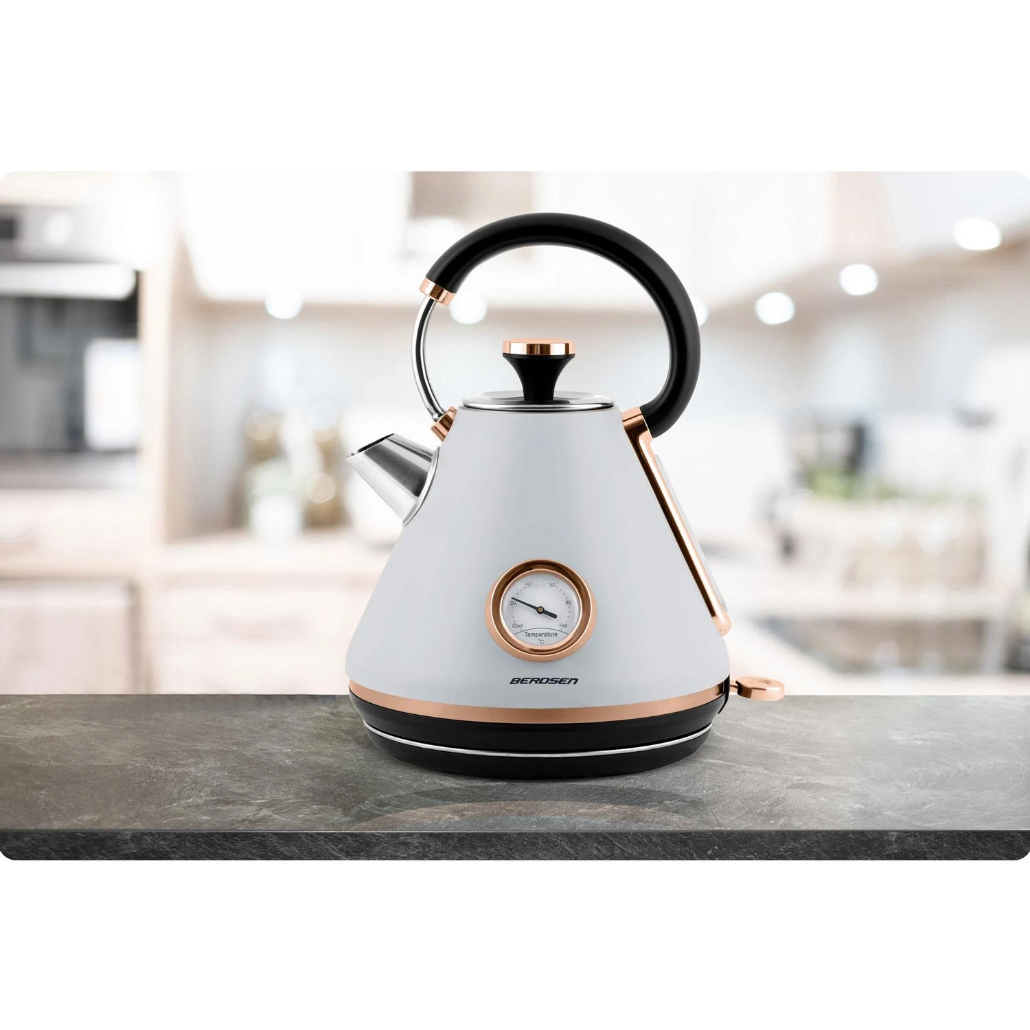 Berdsen Elektrinis virdulys su termometru 1,7 l BD-701 - pilkas
