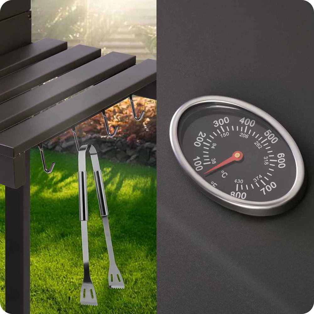 Grilis su anglimis Berdsen BD-891