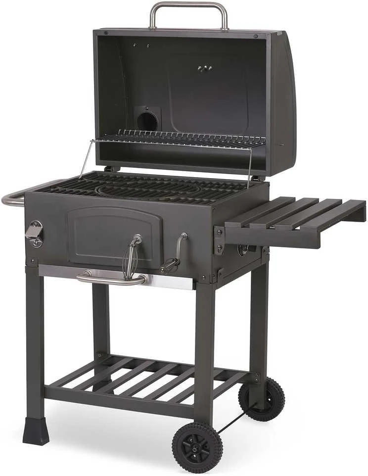 Grilis su anglimis Berdsen BD-891