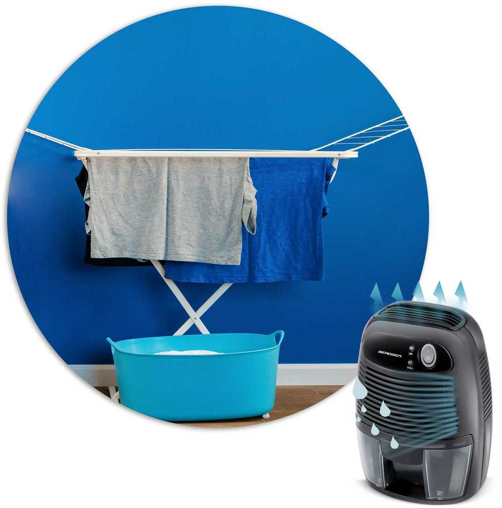 Berdsen BR-68B juodas oro sausintuvas su automobilio adapteriu
