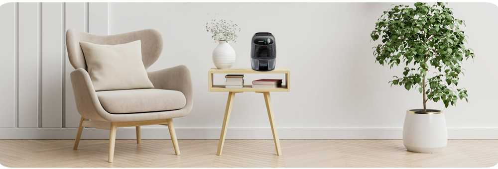 Berdsen BR-68B juodas oro sausintuvas su automobilio adapteriu